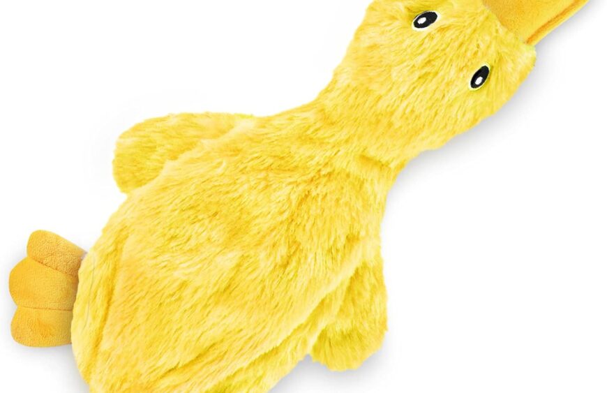 61iLNIUwPnL._AC_SL1500_.jpg
