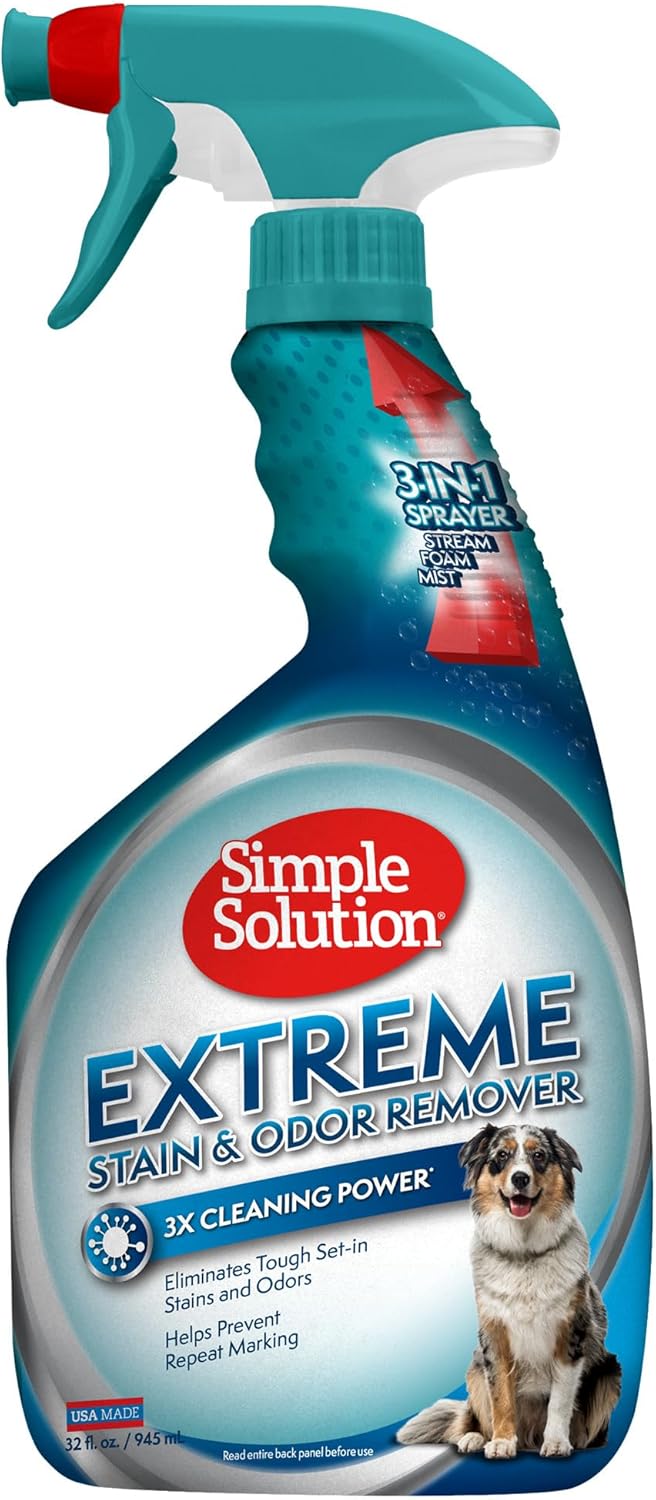71NzS0XbVxL._AC_SL1500_.jpg