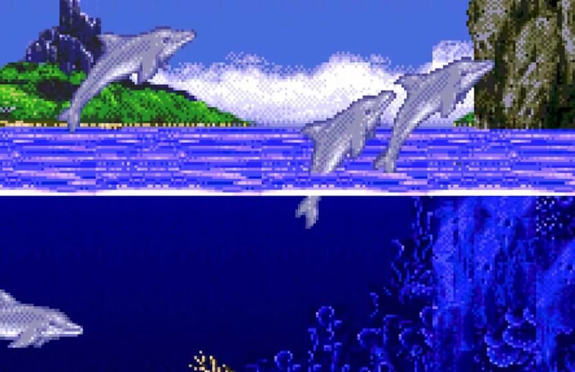 2e203d40-29f0-11f0-bafd-04a9b67ea2ba.jpeg