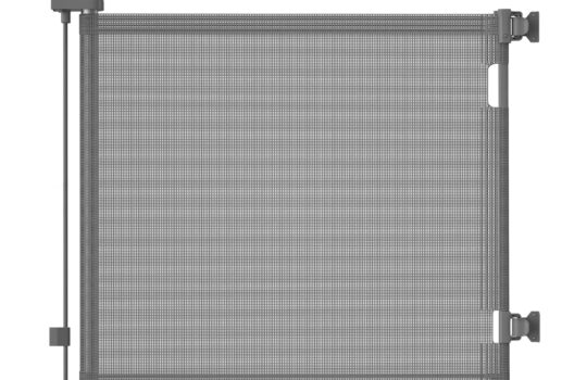 81csuAamPL._SL1500_.jpg