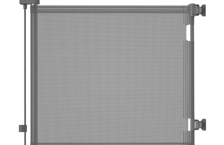 81csuAamPL._SL1500_.jpg