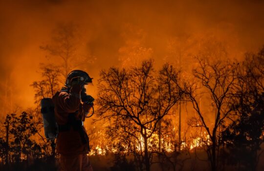 wildfire-fire-fighter.jpg