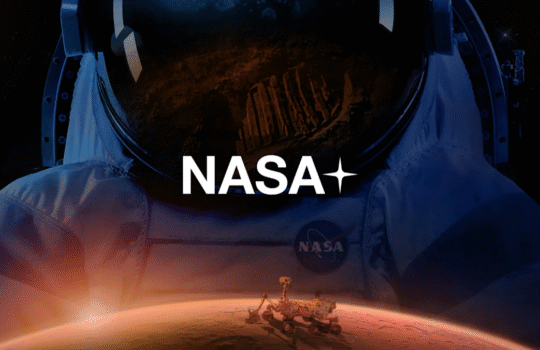 00526aa0-55dd-11f0-a9df-22338a23a9bb.png