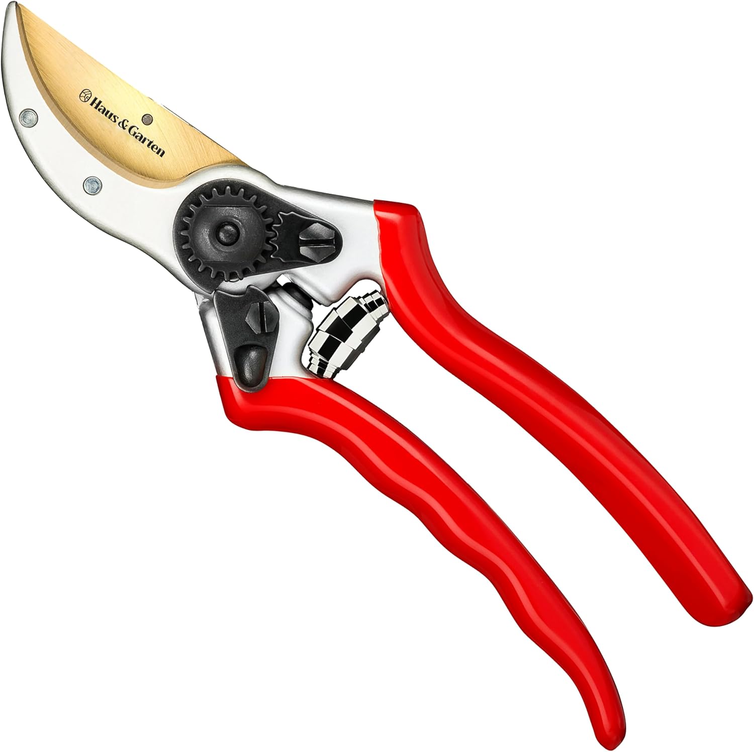 71czGm-WaSL._AC_SL1500_.jpg