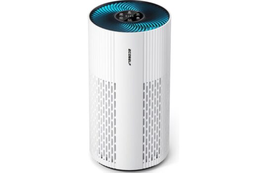ecoself-air-purifier.jpg