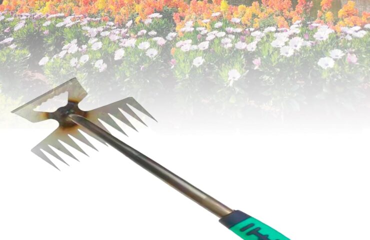 71VVERDNoyL._AC_SL1500_.jpg