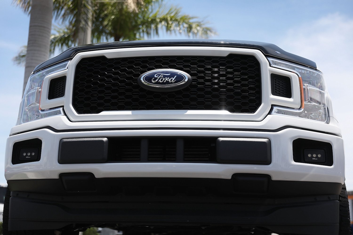 A-Ford-F-150-on-a-sales-lot-in-Miami.jpg